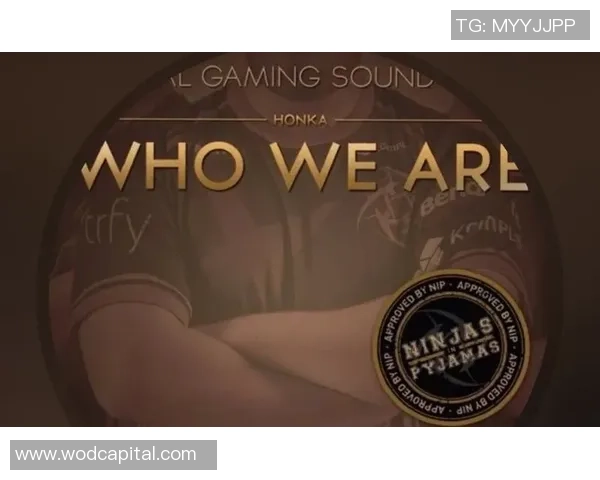 巴西足球明星战歌背后的故事与传奇人物揭秘